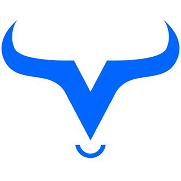 VIBHS Financial Ltd