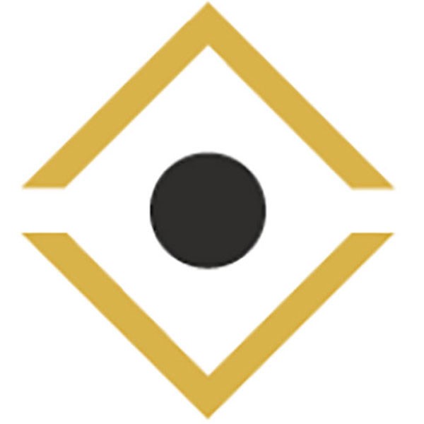Black Pearl Securities Limited