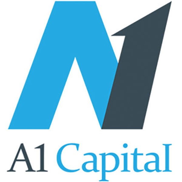 A1 Capital Yatırım Menkul Degerler A.S.