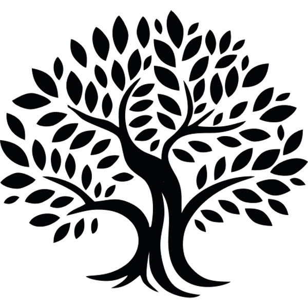 Olive Tree Capital Markets - Olive Tree Capital Markets