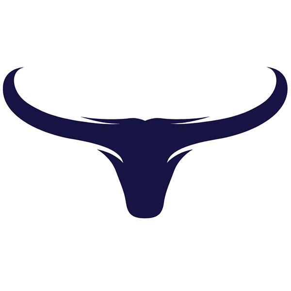 Longhorn LLC