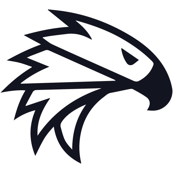  EagleFX
