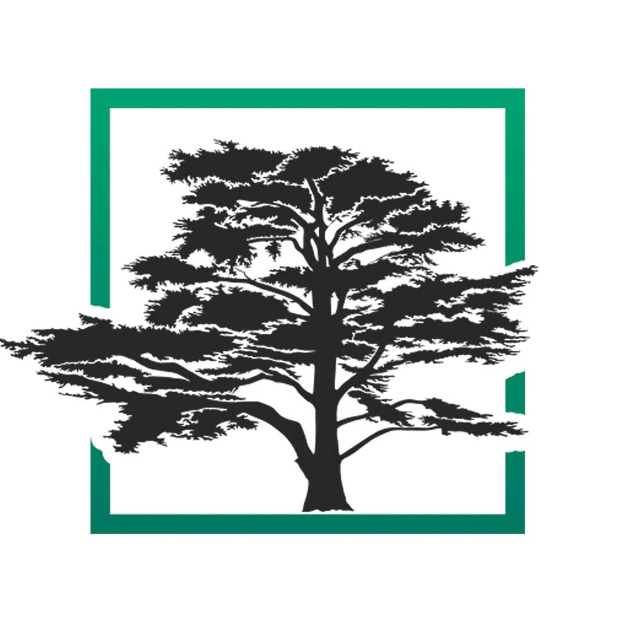 Cedar LLC