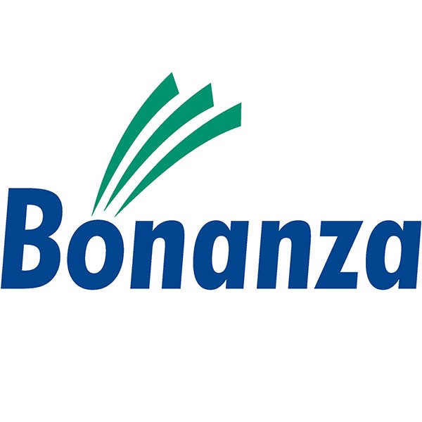 Bonanza Portfolio Ltd