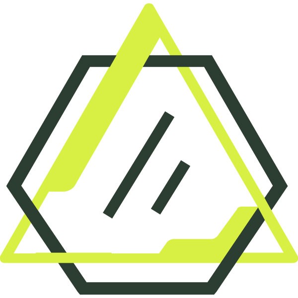  ENVI LLC