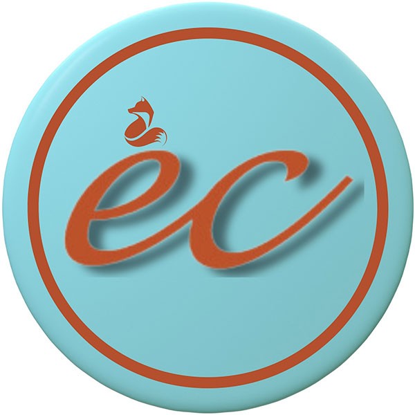 ECR Capitals Limited