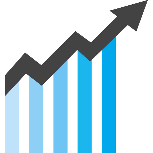 RSI Technology Podgorica LLC.