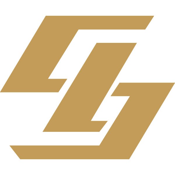 LianSheng Global Group Limited