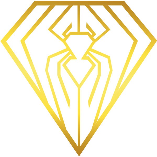 Spider Forex LLC