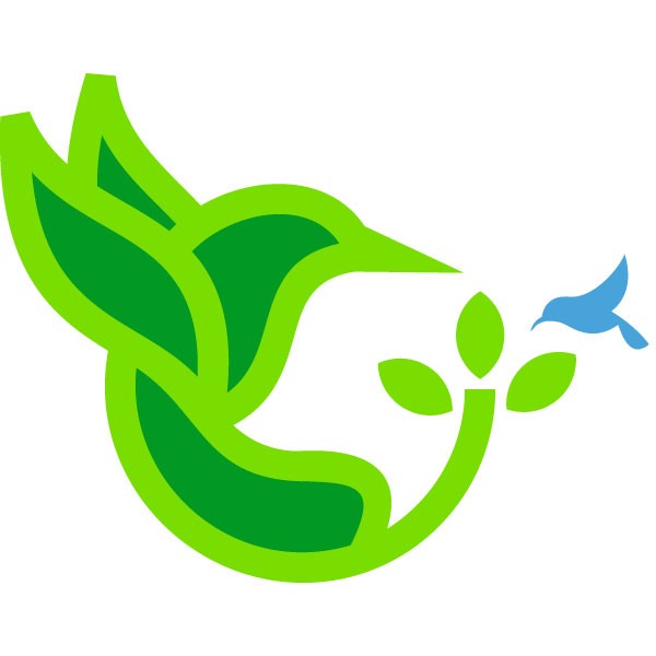 TP Trades Holding Limited