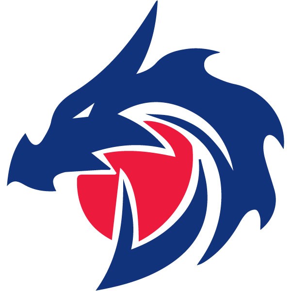 Bluedragon - Blue Dragon LLC