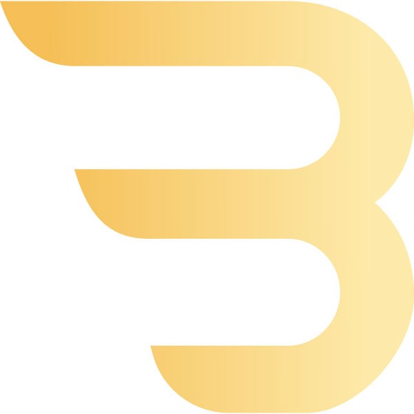 B Investor - B Investor