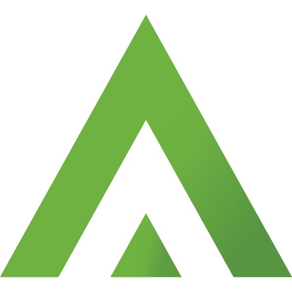 ARAB PLATFORM CAPITAL LLC