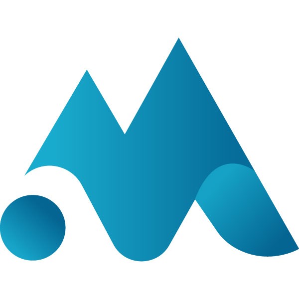 Multi Stock Trading LLC