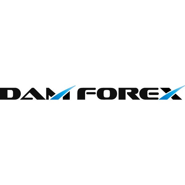 DAM Group LTD
