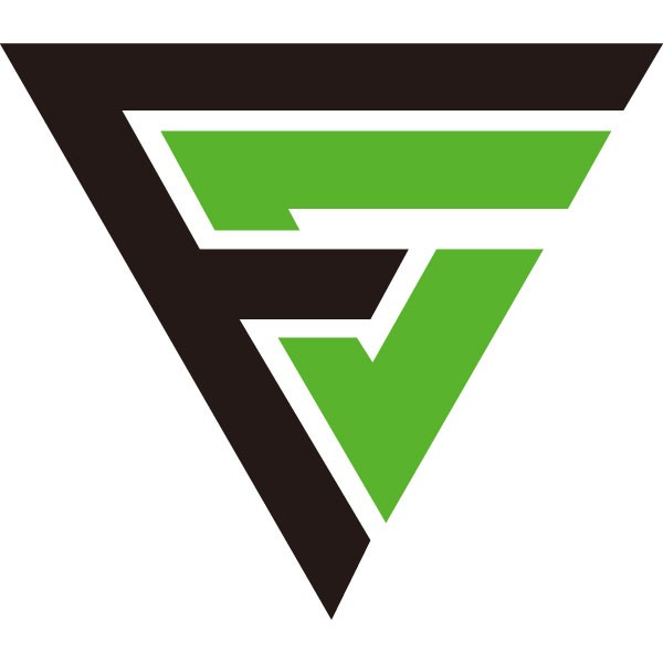 FURION GLOBAL CAPITAL LTD