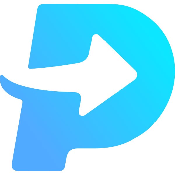 POPULUS CAPITAL MANAGEMENT LLC