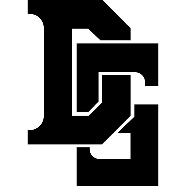  DS investment Limited