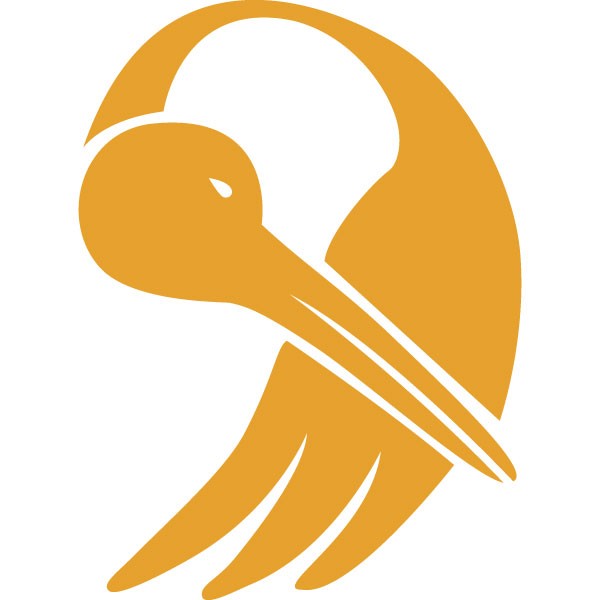 GFX International Limited