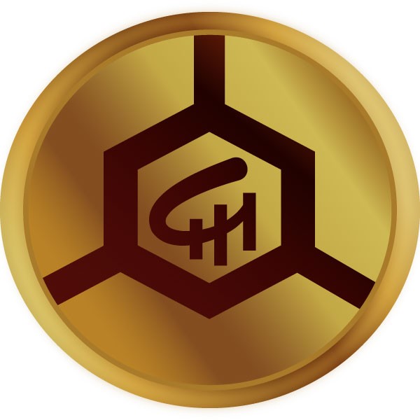 CHN INTERNATIONAL GROUP LTD