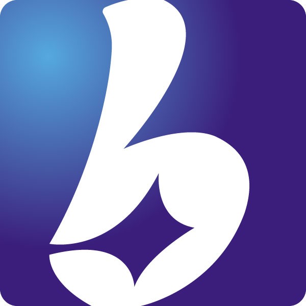 BOISIL GROUP LIMITED