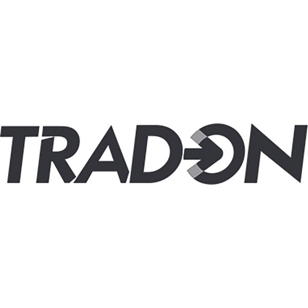 Ingenue Consulting LLC