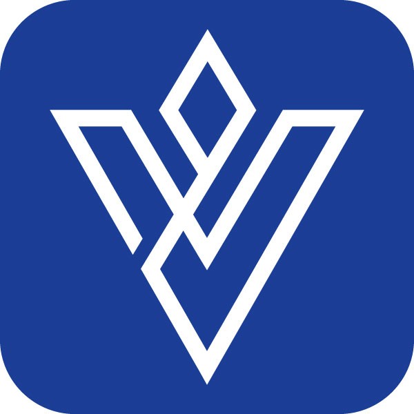 Viseno Capital Limited