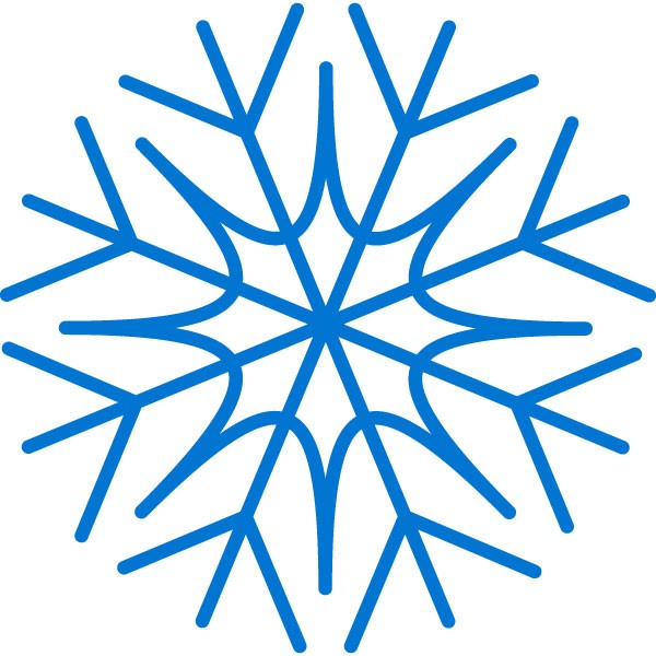 winterSnow Forex Inc