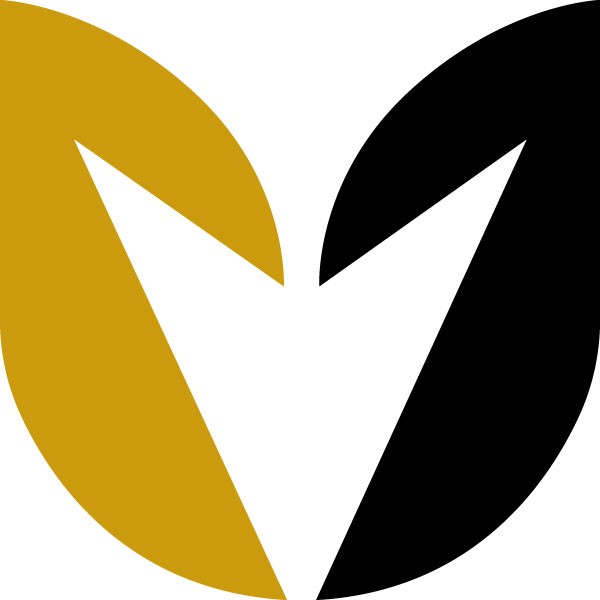 Virtue Technology Group Limited