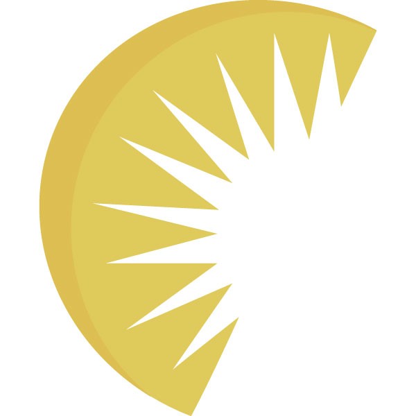 Aura FX（NZ）Limited