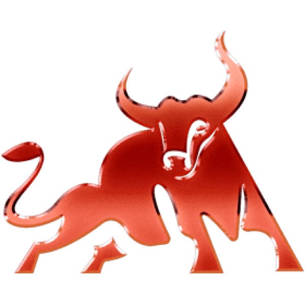 TransX Markets Limited