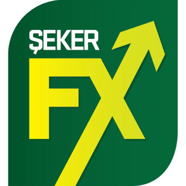 SEKER YATIRIM MENKUL DEGERLER A.S.