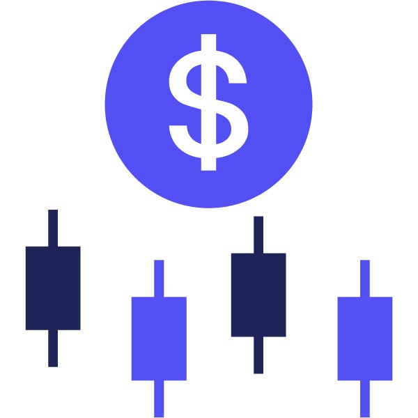 Pioneer Capital - Pioneer Capital Ltd