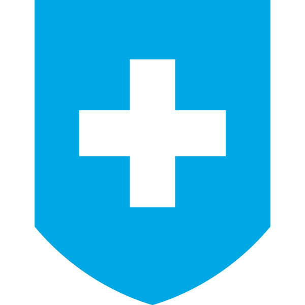 Larson and Holz IT LLC