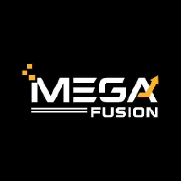 Mega Fusion Group Ltd.