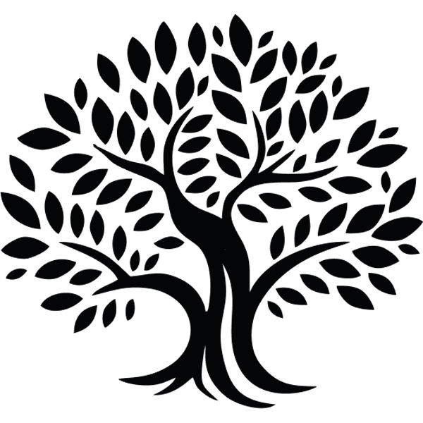 Olive Tree Capital Markets