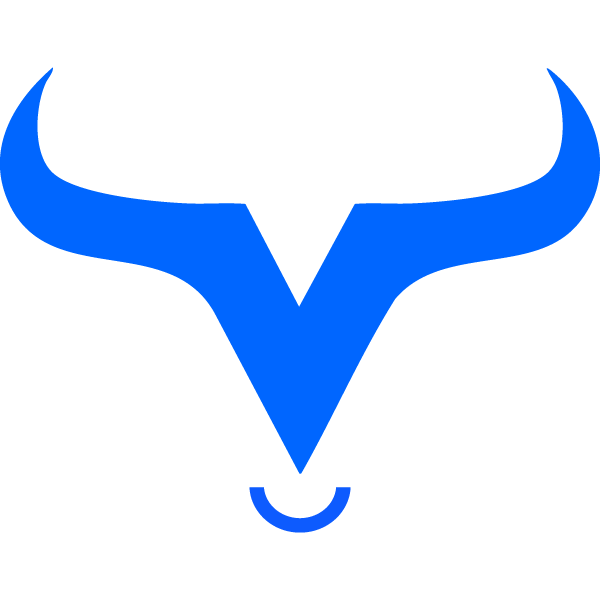 VIBHS - VIBHS Financial Ltd