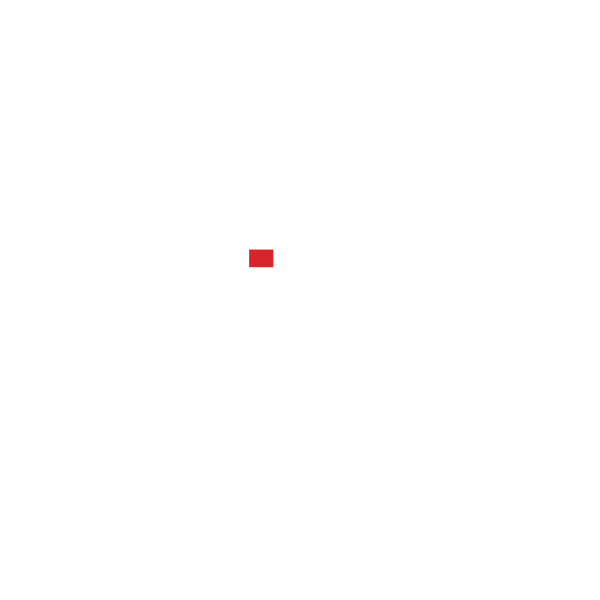 First Investment Bank