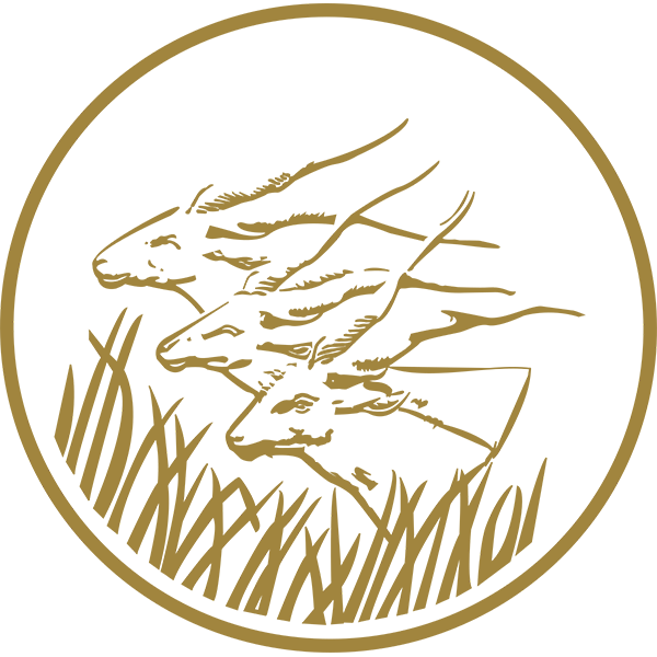 Banque des Etats de l'Afrique Centrale