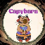 Capybara 's logo