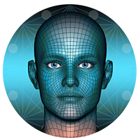 Metaverse Face 's logo