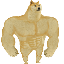 Swole Doge 's logo