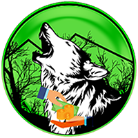 Wolf Safe Poor People (Polygon) 's logo