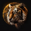 TigerMoon 's logo