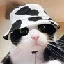MooCat 's logo