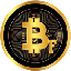 BITCOIN FUTURE 's logo