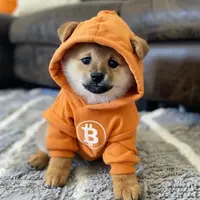 Dog (Bitcoin) 's logo