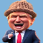 TrumpWifHat 's logo