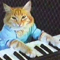 Keyboard Cat 's logo