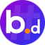 BNSD Finance 's logo